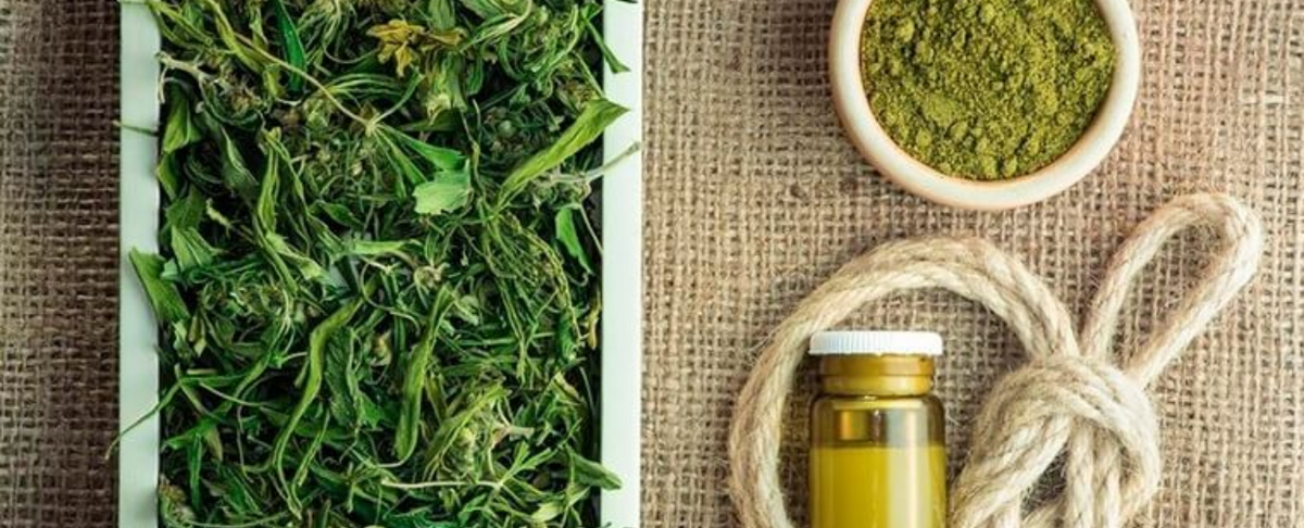 Dried hemp leaves, a jar of oil, and a bowl of green powder on a burlap background.
