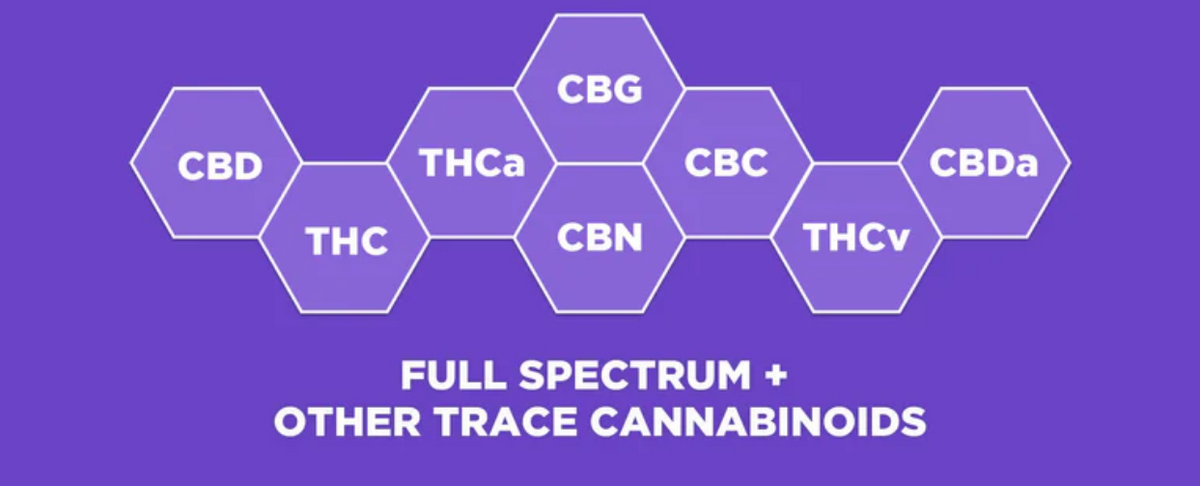 Diagram showing cannabinoids: CBD, THC, CBG, CBN, CBC, THCa, and THCv, labeled with 'Full Spectrum + Other Trace Cannabinoids'
