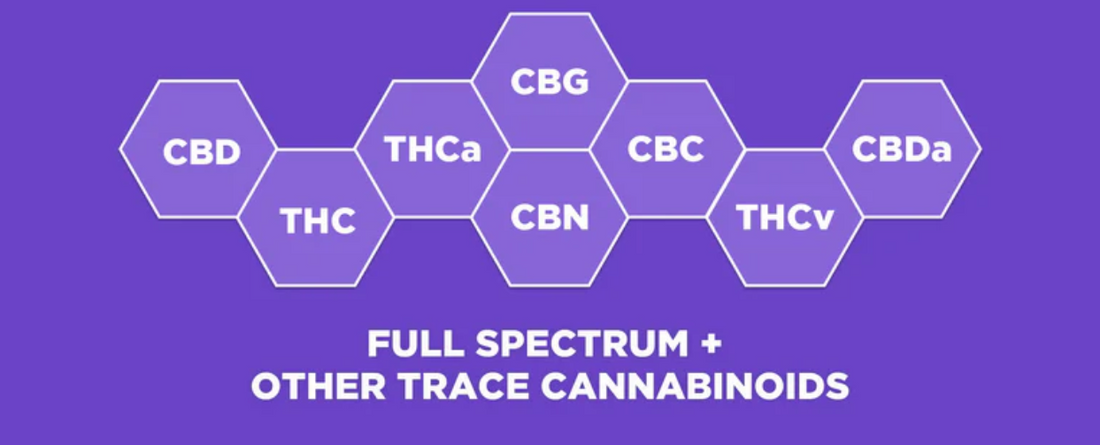 Diagram showing cannabinoids: CBD, THC, CBG, CBN, THCa, CBC, THCv, and CBDA. Full Spectrum + Other Trace Cannabinoids