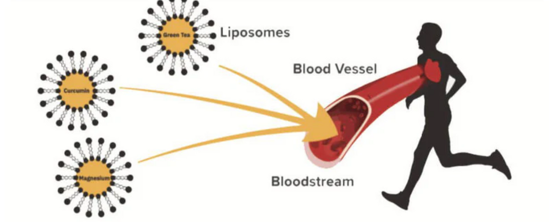 How Liposomal Delivers CBD In A More Effective Manner