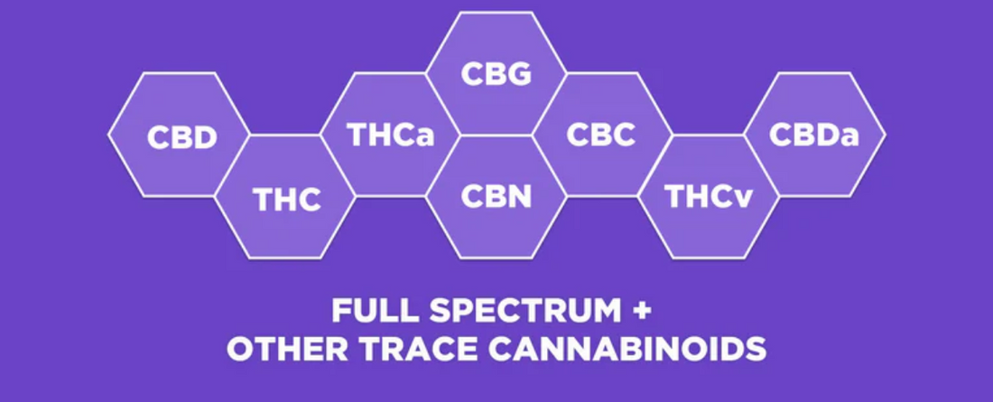 What Is Full Spectrum CBD Good For?