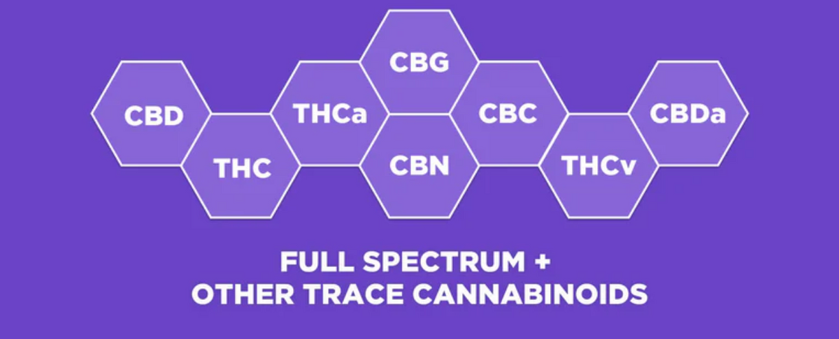 What Is Full Spectrum CBD Good For?