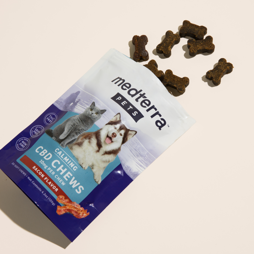 A package of Medterra Pet CBD Calming Chews featuring L-Tryptophan in a bacon flavor is displayed against a light background. The package includes images of a cat and a dog, while several bone-shaped treats are scattered outside the package.
