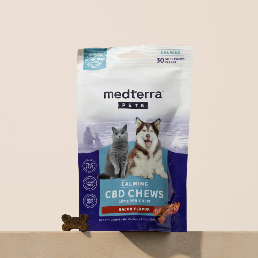 Against a light background, a package of Medterra Pet CBD Calming Chews is displayed, featuring images of a cat and a dog. The package is labeled bacon flavor with 10mg per chew and enriched with L-Tryptophan. A single chew is placed in front of the package.