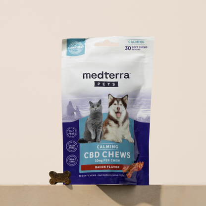 Against a light background, a package of Medterra Pet CBD Calming Chews is displayed, featuring images of a cat and a dog. The package is labeled bacon flavor with 10mg per chew and enriched with L-Tryptophan. A single chew is placed in front of the package.