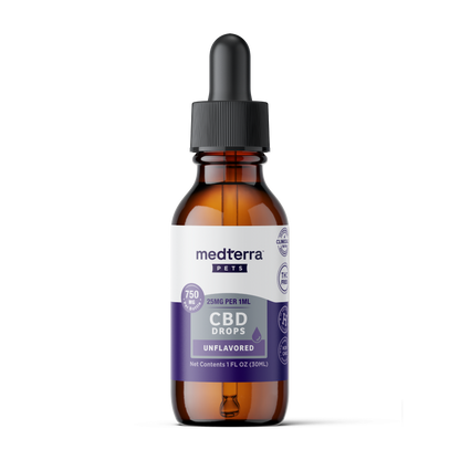 A brown glass dropper bottle labeled "Medterra Daily Relief Pet CBD Tincture" (750mg, 1 fl oz/30ml) with a black dropper cap, designed to support your pet’s joint health and overall well-being.