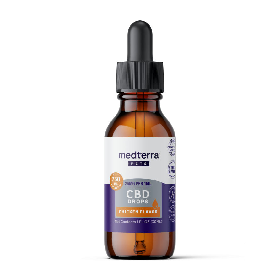 A brown dropper bottle labeled "Medterra Daily Relief Pet CBD Tincture, Chicken Flavor, 750 mg" with a black cap stands against a white background—CBD tincture crafted to support your pet’s joint health.
