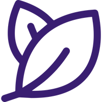 A simple, purple outline of two overlapping leaves. The design has a minimalistic and modern style, typically used to represent nature, organic products, or eco-friendly concepts. The leaves have smooth, curved lines and no additional details.