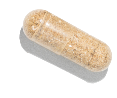 Medterra Capsule